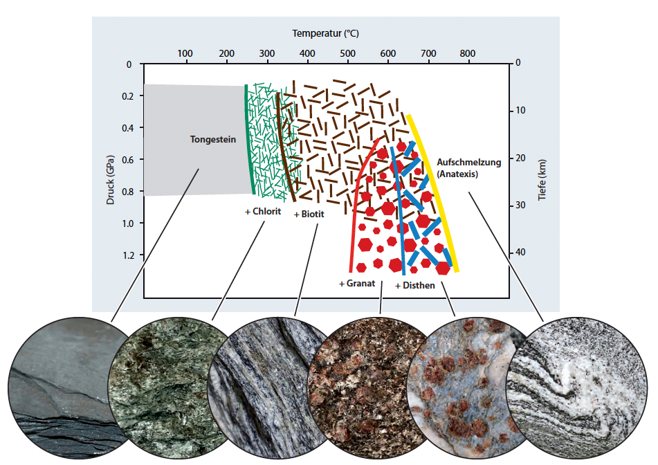 auällige Minerale in metamorphen Tongesteinen