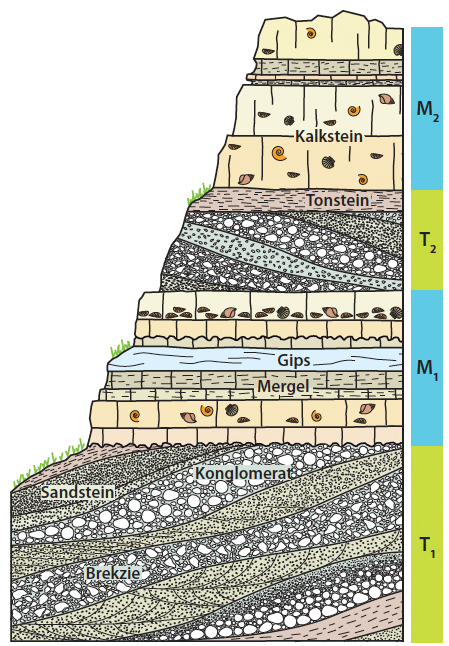 Sedimentäre Schichtabfolge